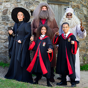 Deluxe Men's Harry Potter Hagrid Costume